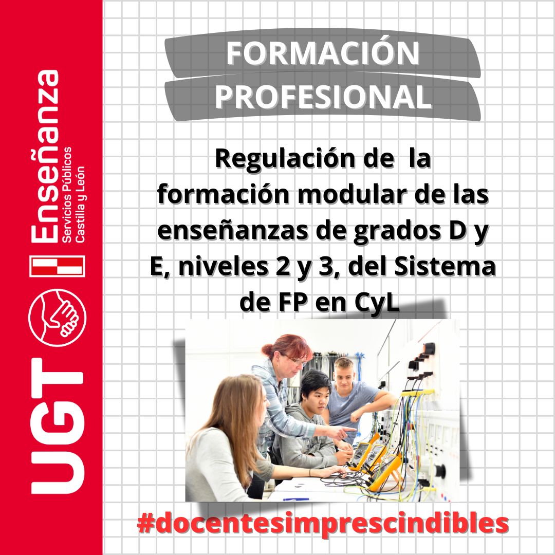 Se regula la formación modular de las enseñanzas de grados D y E, niveles 2 y 3, del Sistema de Formación Profesional en la Comunidad de Castilla y León.