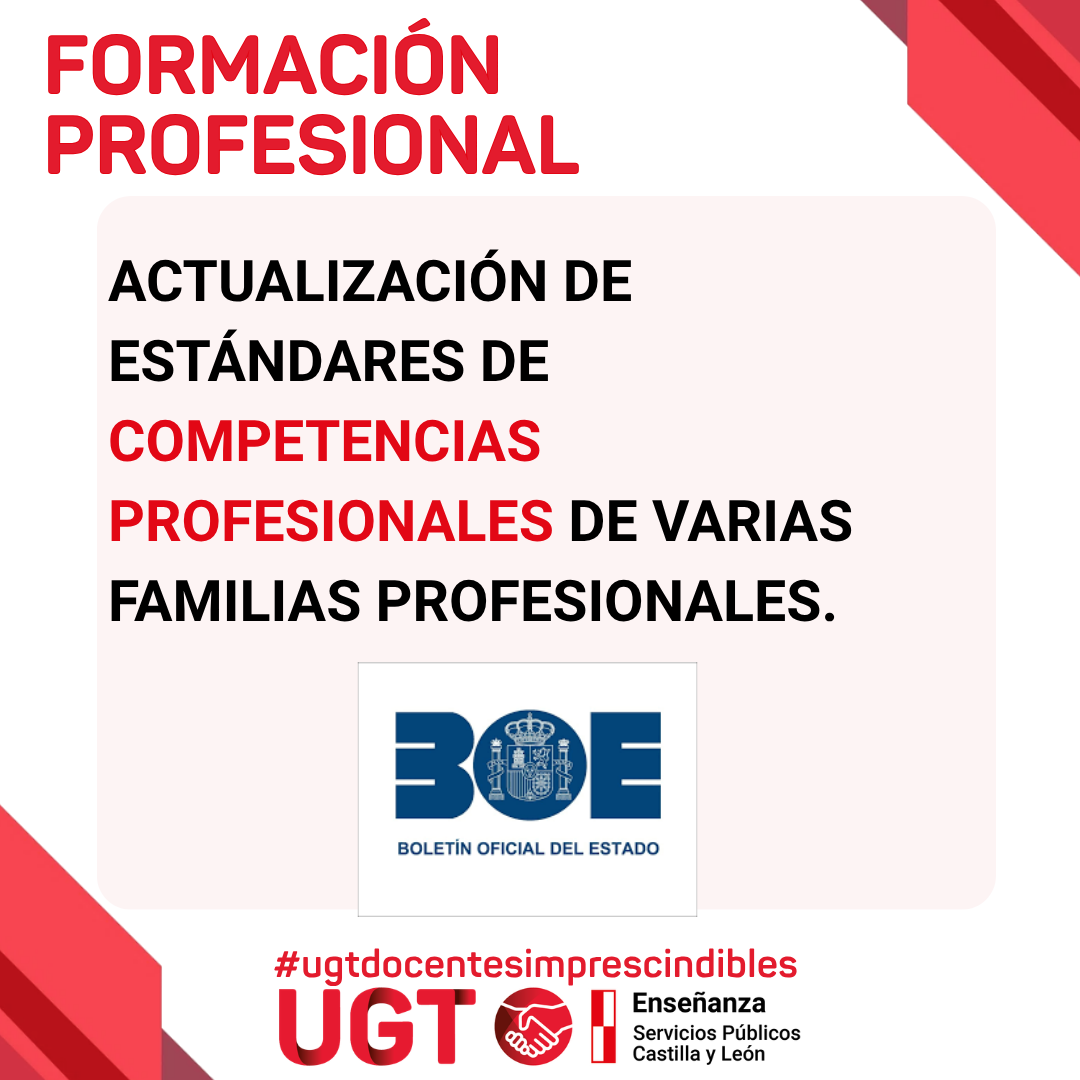 Actualización  de determinados estándares de competencias profesionales de varias familias profesionales