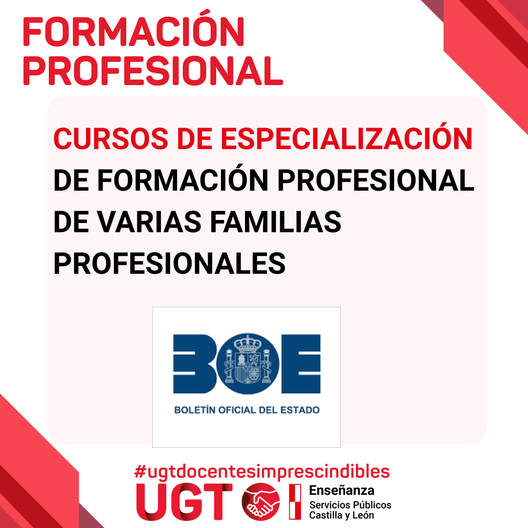 Cursos de especialización de Formación Profesional. BOE